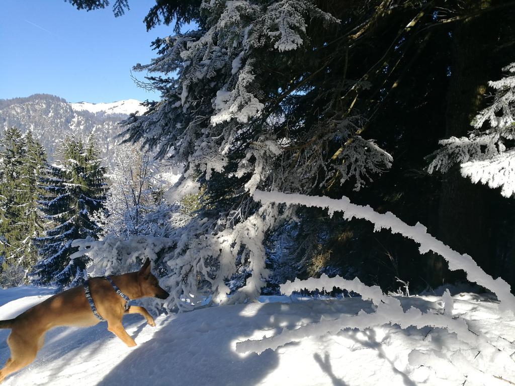 Chalet Glockenhof Вальхзе Экстерьер фото